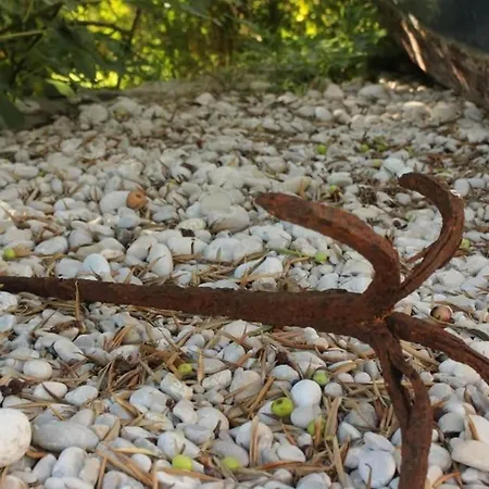 Ro - Ela - Comfort With Terrace And Sea View - A5 *