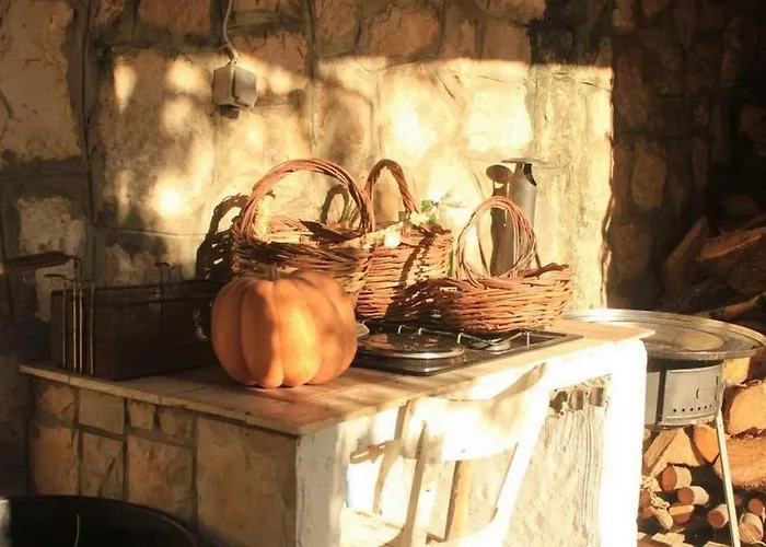 Ro - Ela - Comfort With Terrace And Sea View - A5 * Brsečine