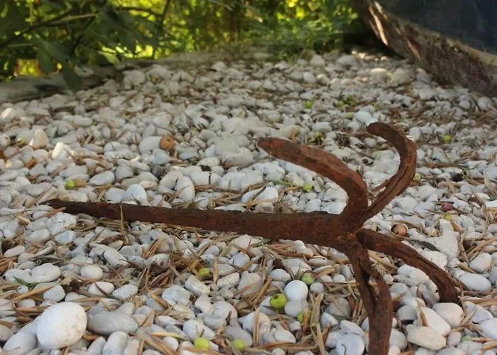 Ro - Ela - Comfort With Terrace And Sea View - A5 *